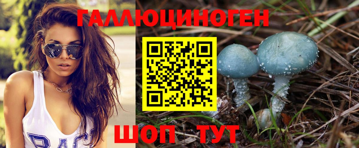 Апшеронск  Псилоцибиновые грибы Psilocybe  Вход с VPN 