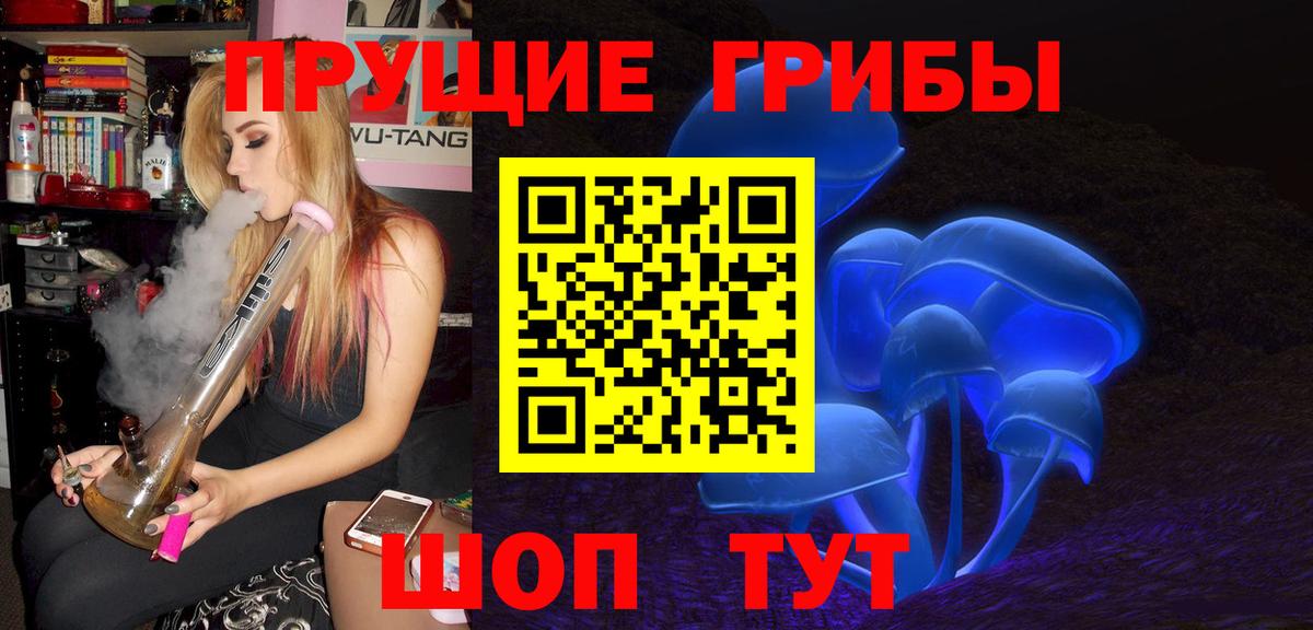 Галлюциногенные грибы Cubensis Апшеронск